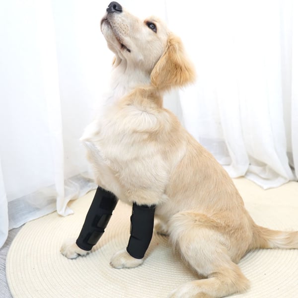 Pet Joint Protector JT2 - Sort til støtte af hunde L