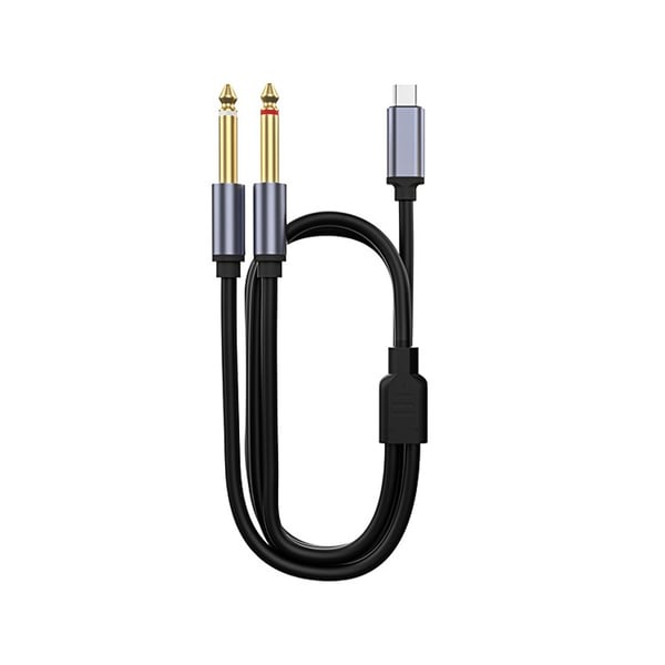 Type-C til Dual 6.35mm Audio Kabel - Forbind din enhed til professionelt lydudstyr 2 m