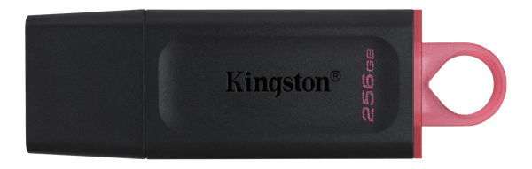 256GB USB3.2 Gen1 DataTraveler Exodia (black + pink)