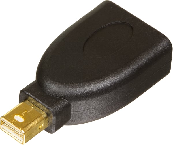 Displayport-adapter Mini Displayport 20pin ma>DP 20pin fe