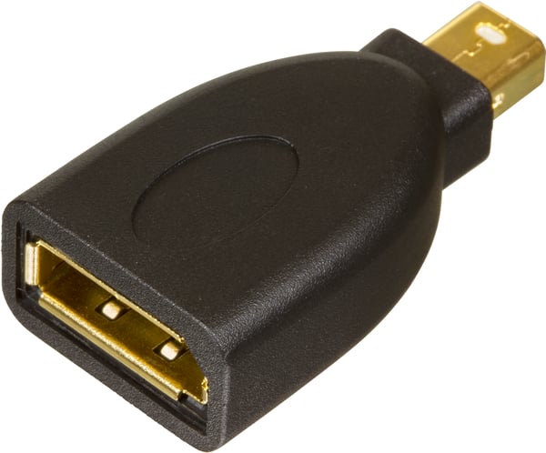 Displayport-adapter Mini Displayport 20pin ma>DP 20pin fe