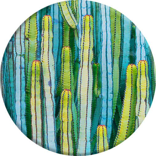 Cactus Patch Grip med Ställfunktion
