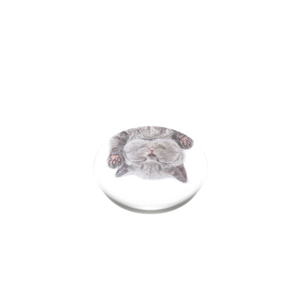 PopGrip Cat Nap