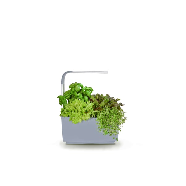 Kitchen Garden T6 Grå
