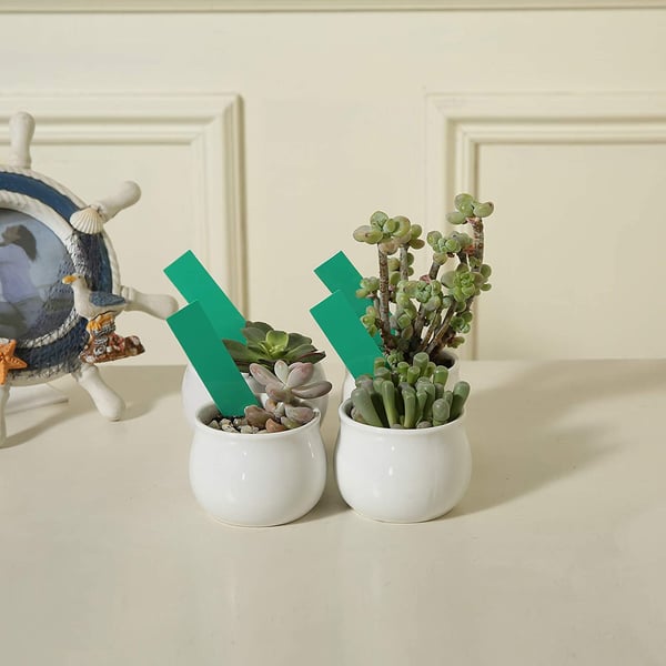 Vanntette planteetiketter / planteskilt med hull PVC 100-pakning Grønn
