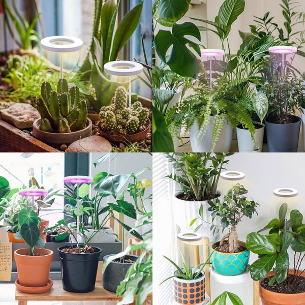 Plantebelysning for potteplanter varmhvitt / hvitt