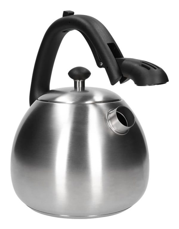 Miniatyrbillede 2 af 4: ZWIEGER Visionary 3 L Rustfrit stål