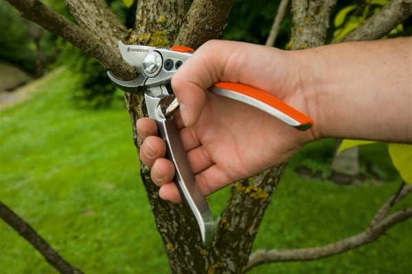 Gardena Premium BP 50 beskärningsverktyg Bypass Svart, Orange