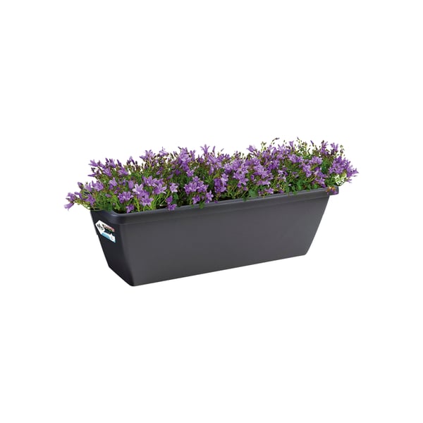 Miniatyrbillede 5 af 8: elho 8711904157401 plantekasse Udendørs Plast Sort