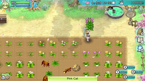 Miniatyrbild 3 av 12: Marvelous Rune Factory 4 Special Standard Nintendo Switch