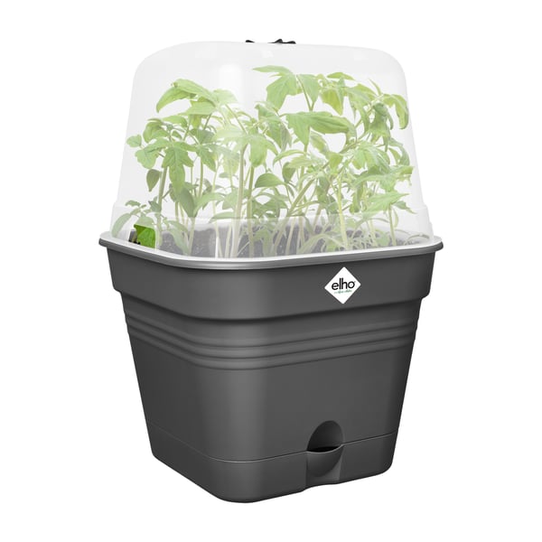 Miniatyrbillede 12 af 15: elho 8711904515317 plantekasse Plast Sort