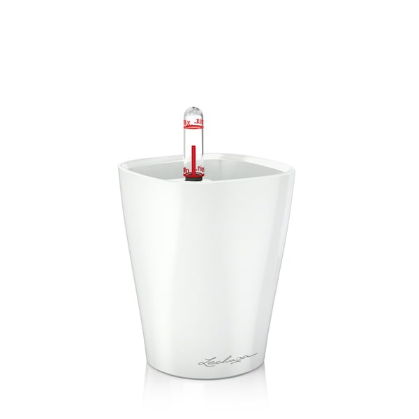 Miniatyrbillede 1 af 3: LECHUZA MINI-DELTINI Indendørs Potteplante Fritstående Polypropylen (PP) Hvid
