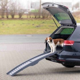 Miniatyrbild 6 av 10: TRIXIE 39476 stege och ramp för hund och katt