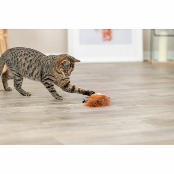Miniatyrbillede 3 af 3: TRIXIE 45681 katte- og hundelegetøj