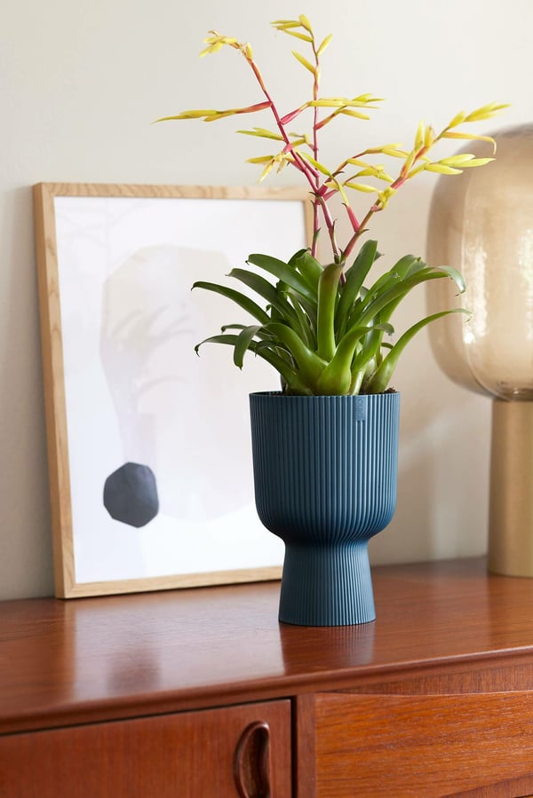 Miniatyrbild 2 av 12: elho 8711904494872 blomkruka Blå Plast