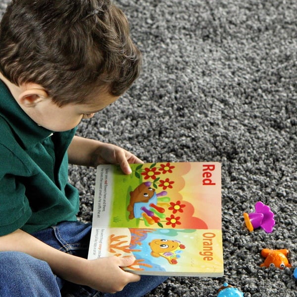 Learning Resources LER9124 legetøj til læring