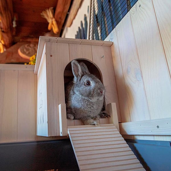Ferplast Cottage Rabit Fyrretræ