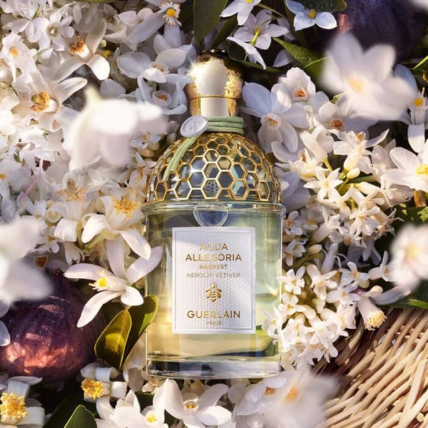 Guerlain Aqua Allegoria Nerolia Vetiver Harvest 125 ml Kvinder