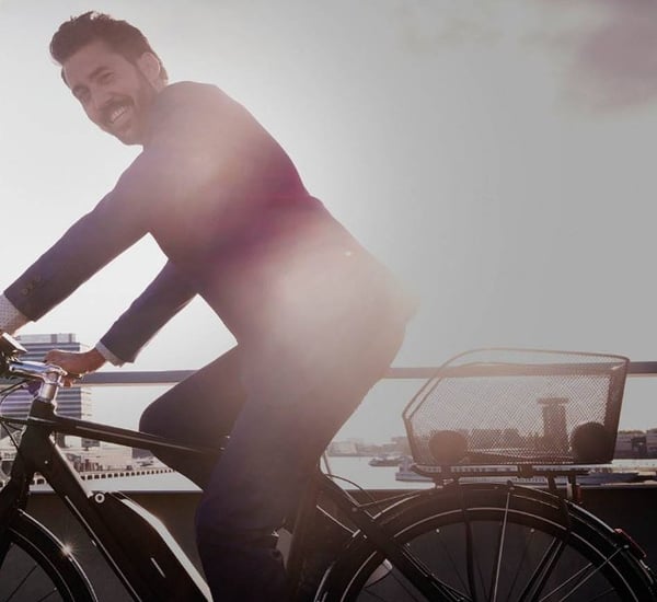 Basil Icon S Bagside Cykelkurv 15 L Stål Sort