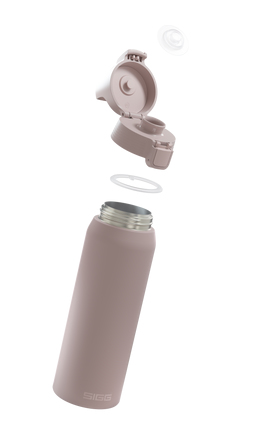 SIGG 6020.90 drikkedunk Dagligt forbrug 750 ml Rustfrit stål