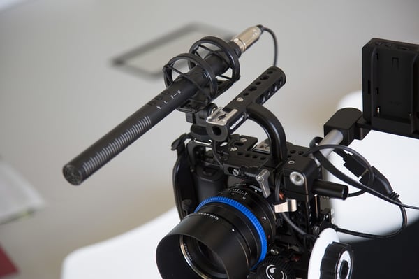 RØDE NTG-4+ mikrofon Sort Mikrofon til digitalkamera