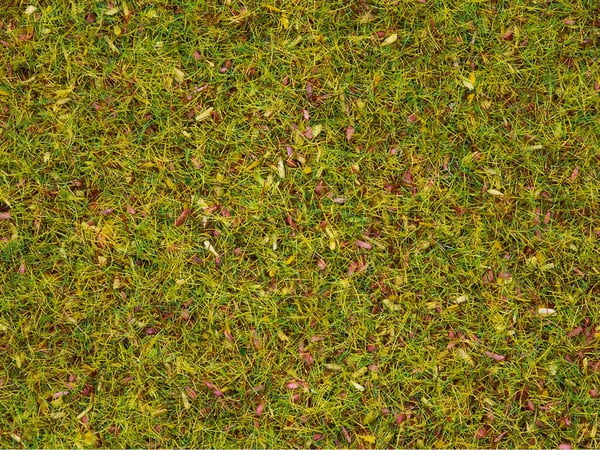 Miniatyrbild 2 av 2: NOCH Scatter Grass “Flower Meadow” delar och tillbehör till skalmodell Växter