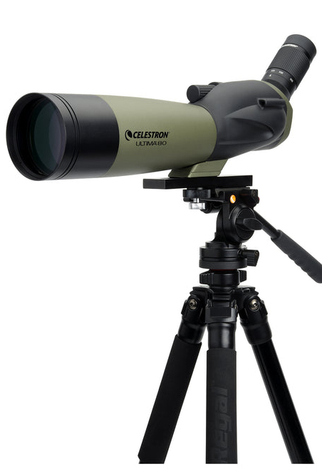 Celestron Ultima 20-60x80mm tubkikare 60x BaK-4 Svart, Grå