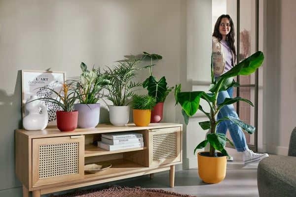 Miniatyrbillede 9 af 11: elho 8711904528249 urtepotte Rød Plast