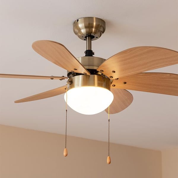 Cecotec EnergySilence Aero 360 Guld, Træ
