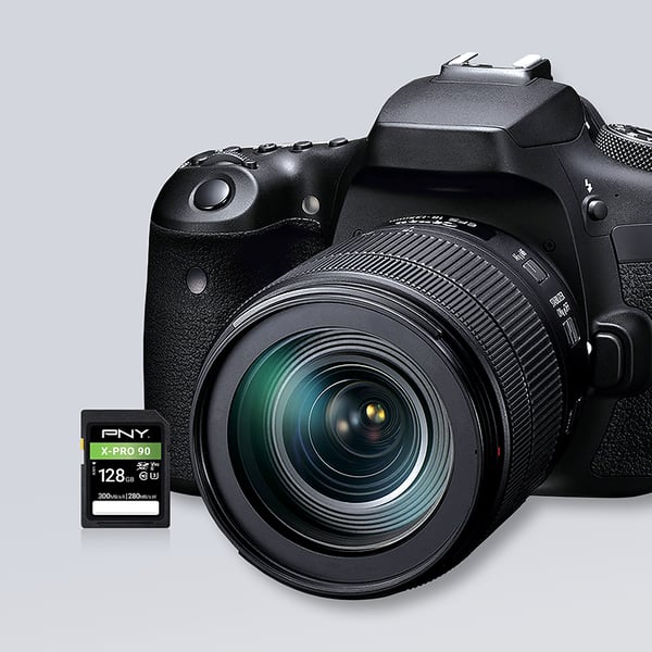 Miniatyrbillede 4 af 4: PNY X-PRO 90 128 GB SDXC UHS-II Klasse 10
