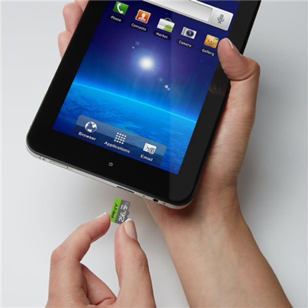 PNY Elite - Flash-hukommelseskort - 256 GB - A1 / Video Class V10 / UHS Class 1 / Class10