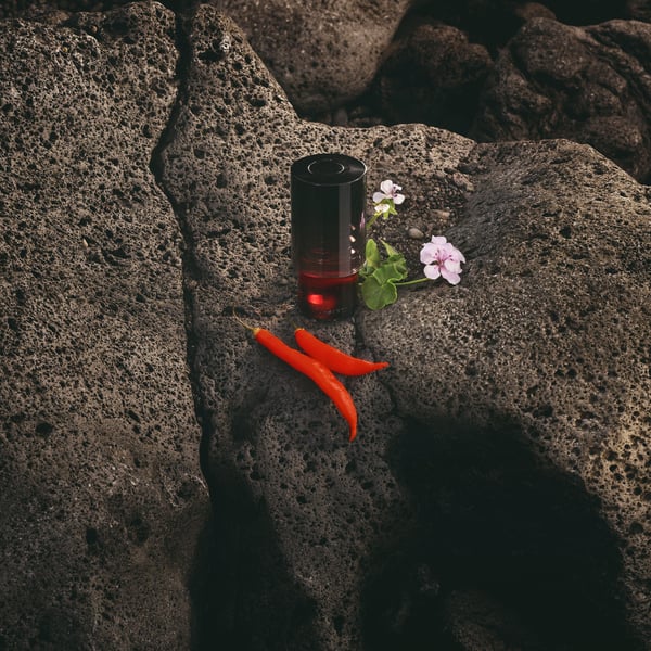 Miniatyrbild 2 av 9: Trussardi Primo 100 ml Män