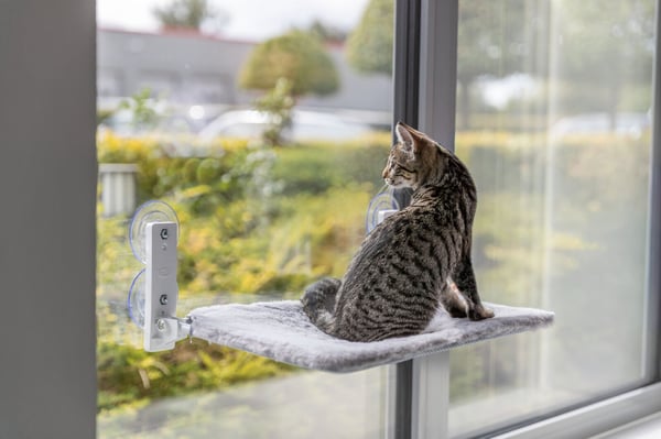 TRIXIE 43210 Bädd för hund och katt