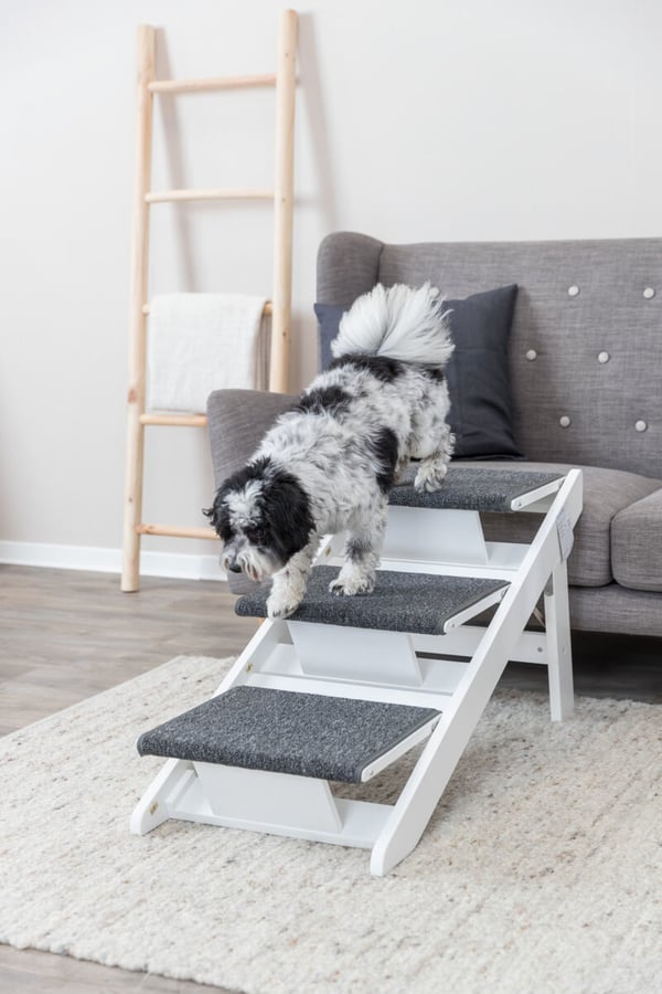 TRIXIE 39462 trin og rampe til hund og kat Kæledyrsrampe