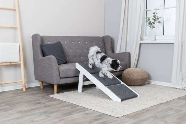 TRIXIE 39462 trin og rampe til hund og kat Kæledyrsrampe