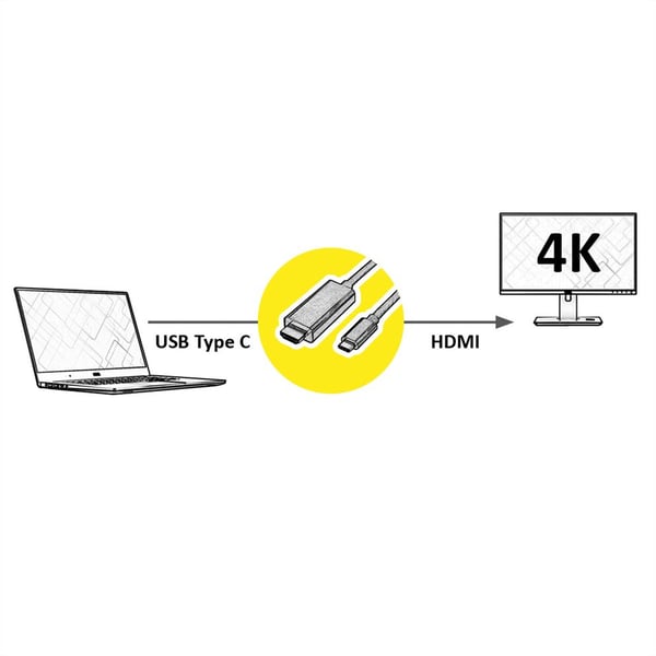 VALUE 11.99.5841 videokabeladapter 2 m HDMI Typ A (standard) USB Type-C Svart
