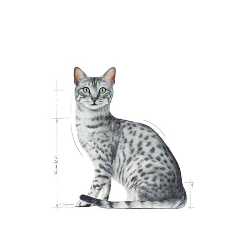 Royal Canin Indoor Sterilized 85 g