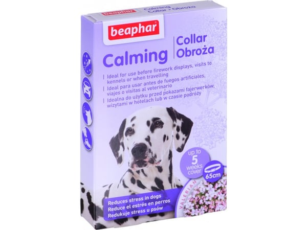 Beaphar 17583 hunde- og kattehalsbånd Blå Hund