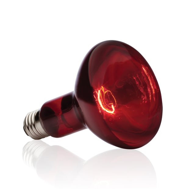 Exo Terra PT2146 matelijan lämpölamppu 150 W 1 kpl