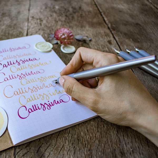 Schneider Schreibgeräte Callissima kalligrafipen Anthracit 1 stk
