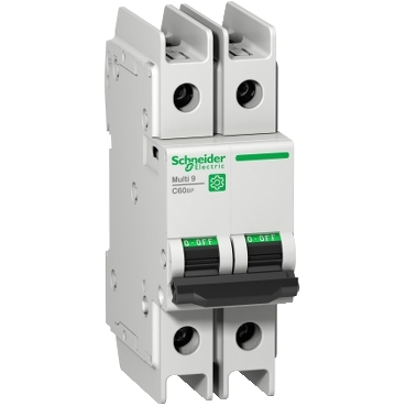Schneider Electric C60BP strömbrytare 2P