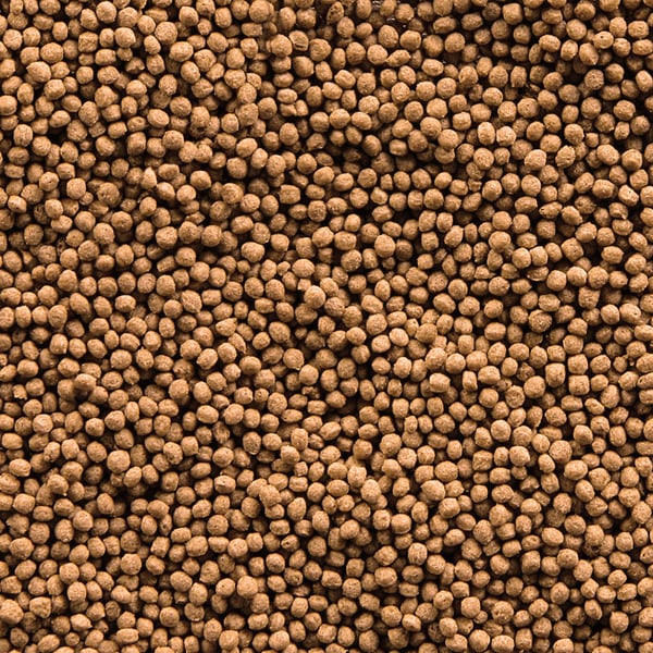 Miniatyrbillede 2 af 2: sera Goldy gran Nature 0,03 kg 0,1 L