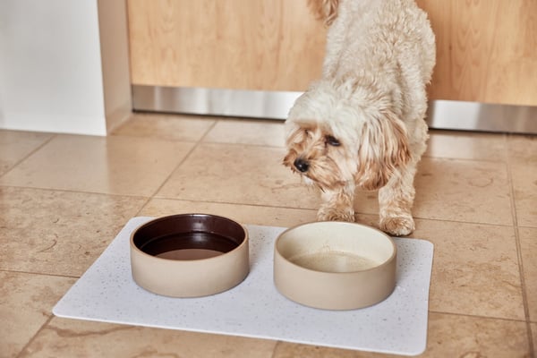Miniatyrbillede 2 af 3: OYOY Z60005 hunde- og kattefodermåtte