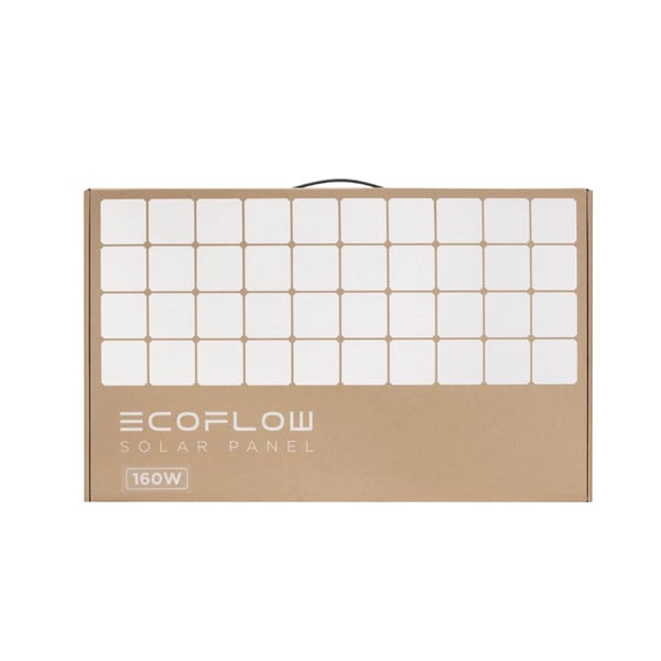 EcoFlow 50033001 aurinkopaneeli 160 W Yksikiteinen pii