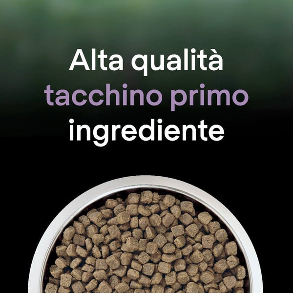 Miniatyrbild 5 av 7: Purina Pro Plan 12466186 torrfoder till katt 1,4 kg