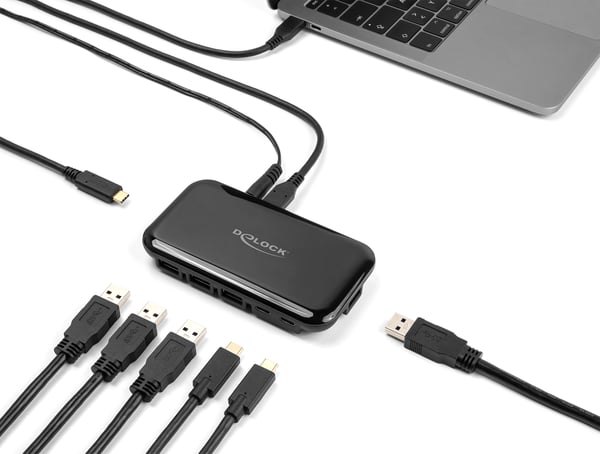 DeLOCK 64209 gränssnittshubbar USB 3.2 Gen 2 (3.1 Gen 2) Type-C 10000 Mbit/s Svart