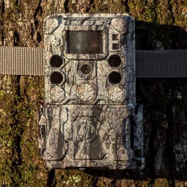 Miniatyrbillede 5 af 6: Bushnell 119949M vildtkamera Nattesyn Camouflage 3840 x 2160 pixel