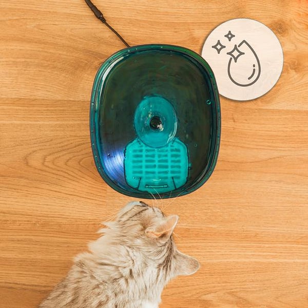 Cecotec Pumba 2200 Refresh vandskål og foderautomat til hund og kat Plast Sort, Blå Universel Automatisk vandautomat til kæledyr