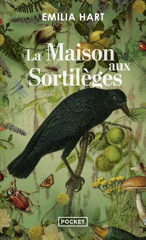 9782266342575 kirja Novel 504 sivua
