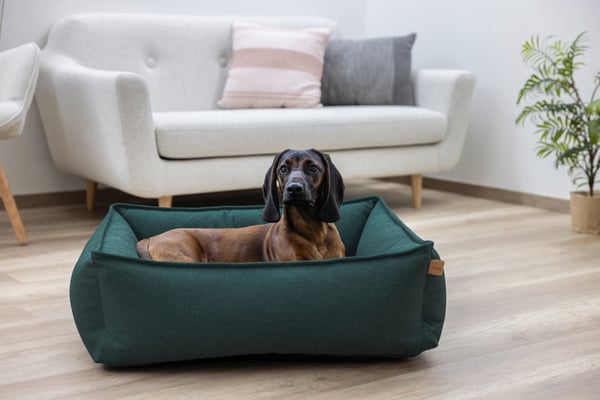 Kerbl 85767 Bädd för hund och katt Husdjurskudde